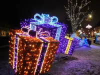 Декоративные световые фигуры, фотография 7