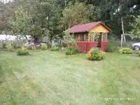 Дача в лесном массиве, фотография 3