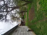 Продам участок, большой гараж, дом под реконструкцию, фотография 6