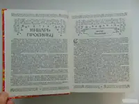 Энциклопедия народных премудростей издательство РООССА 816 страниц, фотография 10
