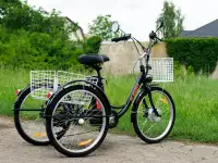 Электровелосипед AVM E-ALFA TRIKE 24, фотография 5