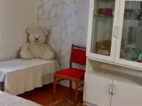 ДАЧА в тихом месте 10 км от Молодечно, СТ СНЕЖИНКА Лебедевский сс Молодечненский р-н, фотография 8