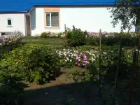 Продаю благоустроенный жилой дом в Дворце., а/г ДВОРЕЦ,ул.Садовая,124 А, фотография 3