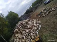 Дрова колотые берёзовые дуб ольха, фотография 6