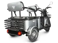 Трицикл rutrike экипаж, фотография 3
