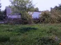 Продам участок, с/т 40 лет Октября, фотография 5