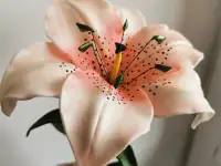 Светильники из изолона, фотография 3