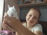 Декоративные кролики, фотография 9