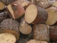 Дрова