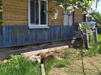 Продам дом с участком, д. мылые Завшицы