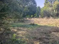 Участок 44км от Минска, д.Падеричи, ул.Центральная, фотография 2