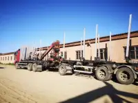 Лесовоз VOLVO FH12 с манипулятором и полуприцепом, фотография 3