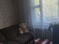 Квартира 4-х комнатная, Витебская, фотография 5