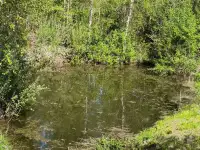 Продаётся дача Демидовичский сельсоветКостюковичский р-нп.Пролетарий, фотография 3