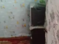 Сдам квартиру в М. Горке, фотография 2