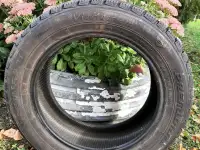 Зимние шины 20555R16 PREMIORRI VAAMAGGIORE 91T, фотография 2
