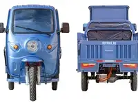 Грузовой электротрицикл rutrike гермес pro 1500 72v1500w, фотография 5