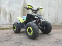 Квадроцикл Motoland 125 RAPTOR NEW, фотография 3