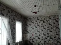 Продам участок с домом, Г.. Жлобин, ул. Пушкинская 28, фотография 6