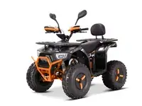 Квадроцикл yacota sirius 2000w, фотография 5