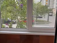 Долгосрочная аренда, Центральный Район, фотография 3