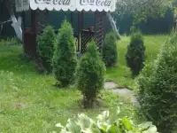сдаю дачу, д. терюха ,,,,лесная 2а
