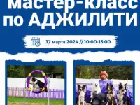 Мастер - класс по аджилити.