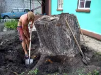 Работа на вашем участке, фотография 6