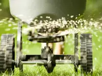 Стрижка газона, покос бурьяна., фотография 4