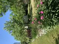 Продам дачу о.п.Синюга с.т.Вычислить, фотография 4