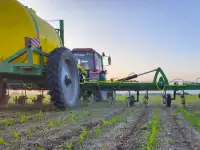 Растениепитатель BelamaHarvest, фотография 4