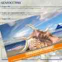Все виды страхования в Гродно.Консультация и помощь в оформлении страховок, фотография 4