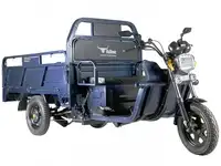 Грузовой электротрицикл rutrike d4 1800 60v1200w, фотография 7