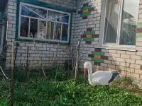 Продам дом, Витебская область ройон станция, фотография 7