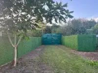 Зеленый забор- Калифорнийское полотно, фотография 8