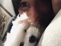Этот малыш ищет своего хозяина!, фотография 2