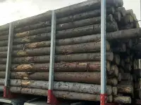 Деревообрабатывающему предприятию требуется рамщик,помошник рамщика.