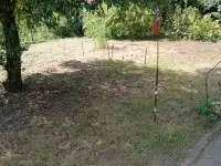 Продам дачу, С Т Химик азот, фотография 7
