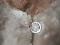 Продам женский  натуральный мутоновый полушубок, фотография 3