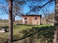 Дом у озера в Новом Селе! Кирпичный дом, 25 соток  баня на берегу. Косули приходят к порогу!, фотография 8