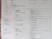 Продам щенков ЗСЛ, фотография 4
