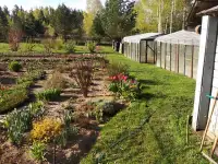 Продам дом в деревне Щелбово, Городокский район,Витебская область, фотография 8