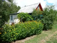 Дача с красивым, уютным домиком и большим огородом 12.4 сот. в СТ Сосновый бор-2, фотография 3