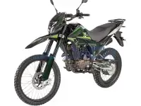 Мотоцикл Regulmoto TE PR 300cc, фотография 2