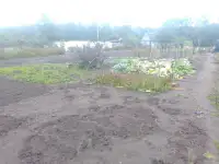Продам участок с Домиком, Черемашня, фотография 5