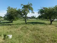 Продам дом, район, д.Большое Жежлино, ул. Центральная д.3, фотография 5