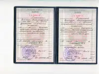 Преподаватель английского языка, имеющий 20 опыт работы онлайн-занятия для взрослых по программам в рамках системы cefr, фотография 2