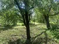 участок 15 соток с домом недалеко от Бреста, д. Филипповичи, Жабинковский р-н, Ленинский с/с, фотография 2
