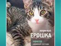 Ерошка - крошка в дар