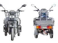 Грузовой электротрицикл rutrike баркас 740 60v1000w, фотография 5